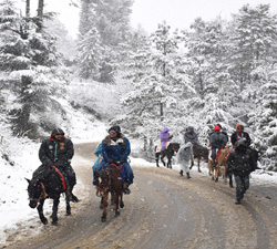  Railway Taxi Service in Jammu