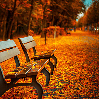  Best Railway Taxi in Jammu