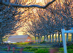  Best Jammu Railway Taxi Service